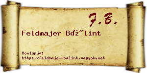 Feldmajer Bálint névjegykártya
